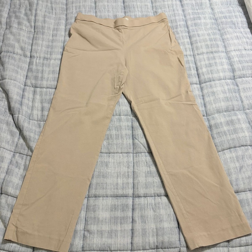Dana Buchman Pull-On Pants Womens L Beige Straight Stretch Rayon Blend Excellent